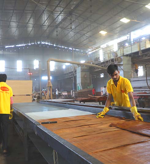 shuttering plywood manufacturers in india